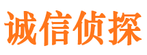 布拖私家侦探公司